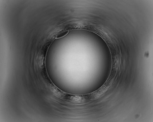 X0000100190230200805301255