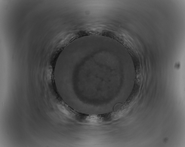 X0000100190231200805301255