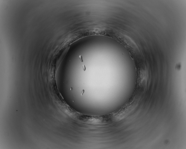 X0000100190236200805301254