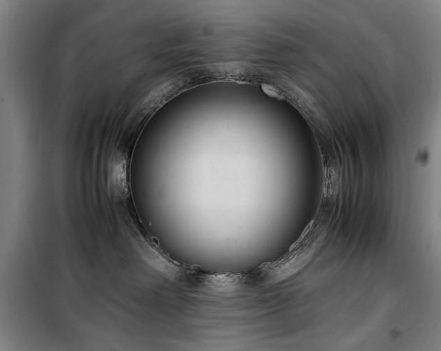 X0000100190238200805301254