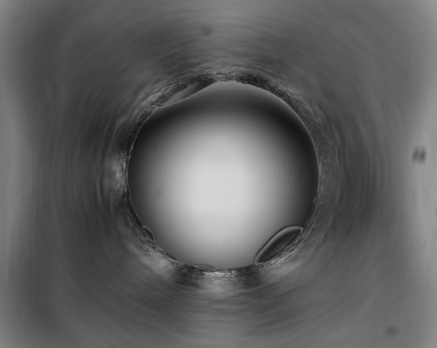 X0000100190240200805301254