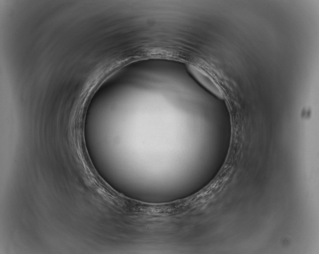 X0000100190241200805301254