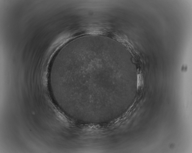 X0000100190243200805301254