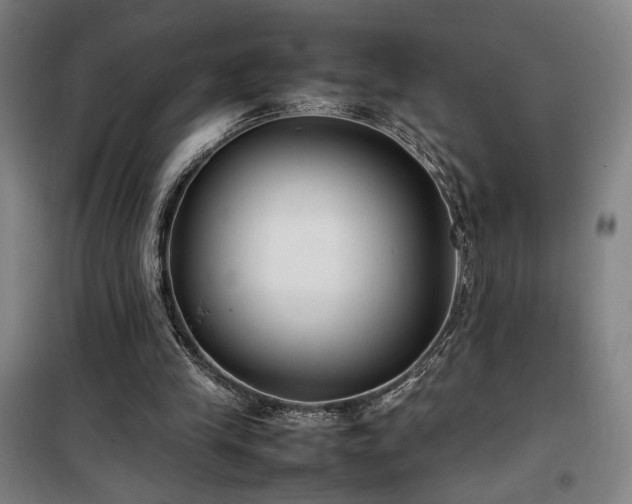 X0000100190245200805301254