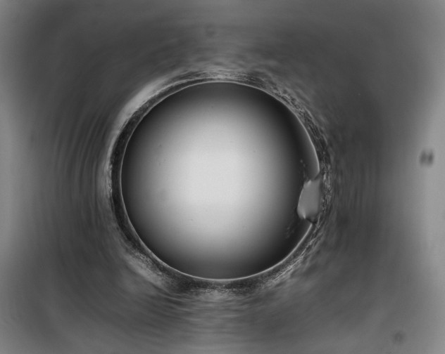 X0000100190246200805301254