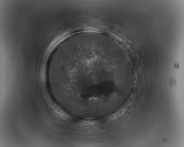 X0000100190247200805301254