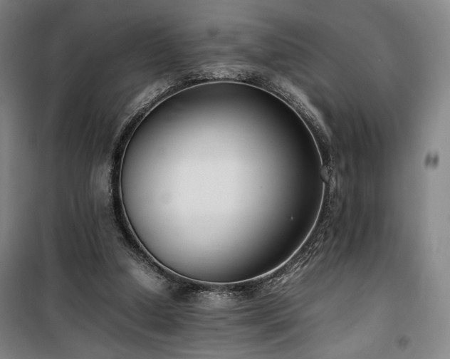 X0000100190250200805301254