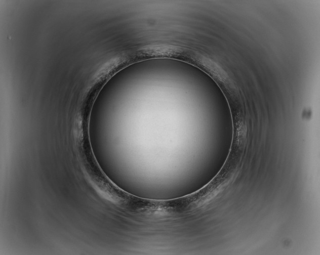 X0000100190254200805301254