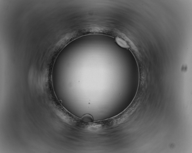 X0000100190257200805301254