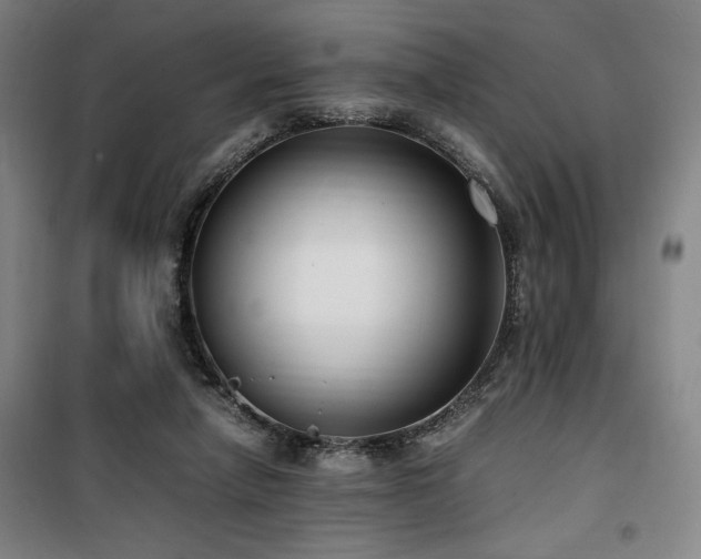 X0000100190258200805301254