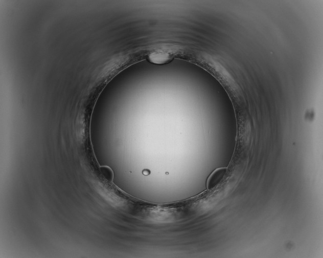 X0000100190261200805301254