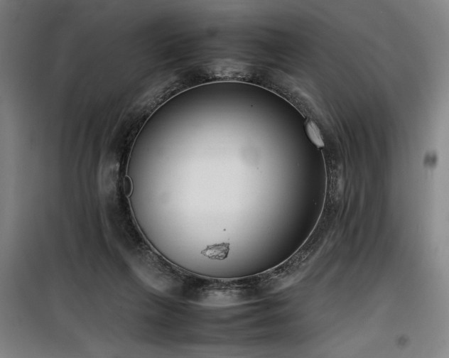 X0000100190263200805301254