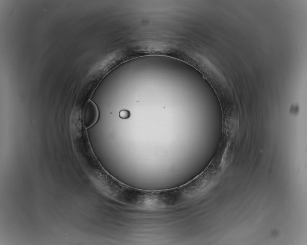 X0000100190264200805301254