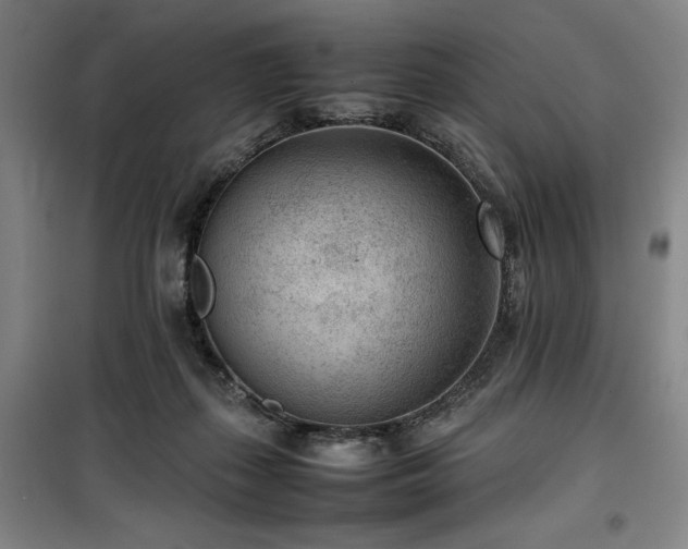 X0000100190267200805301254