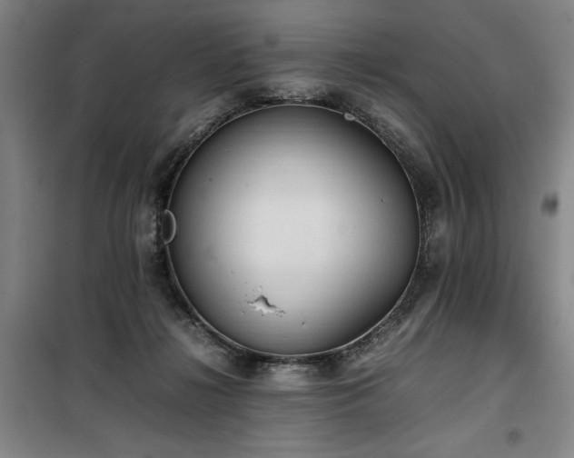 X0000100190268200805301254