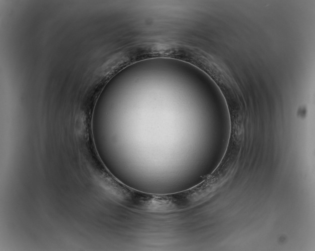 X0000100190270200805301254