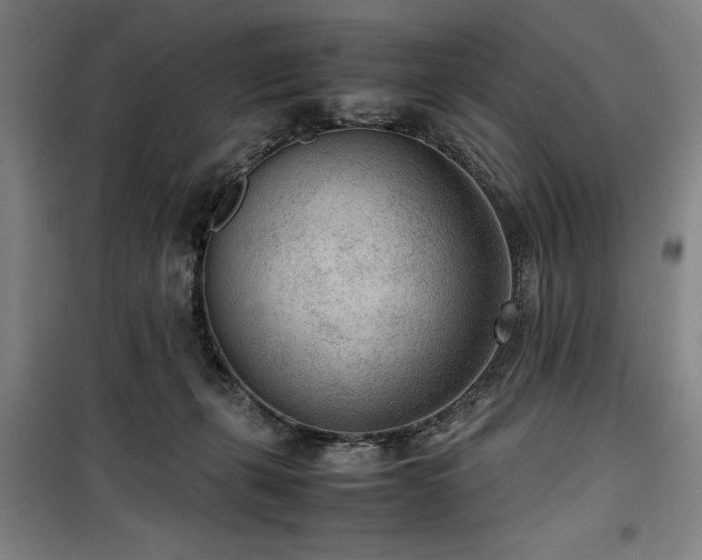 X0000100190271200805301254
