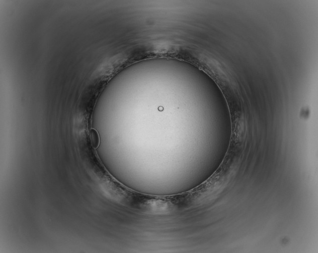 X0000100190272200805301254