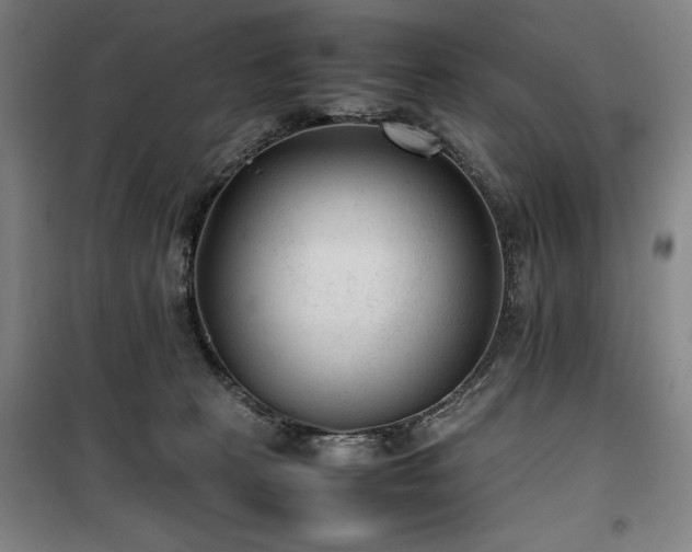 X0000100190273200805301254