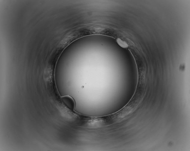 X0000100190274200805301254