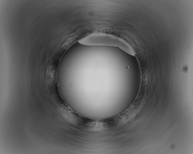 X0000100190276200805301254
