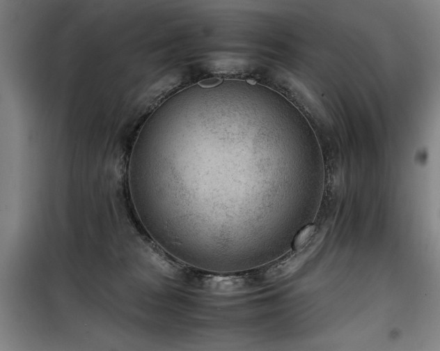 X0000100190277200805301254