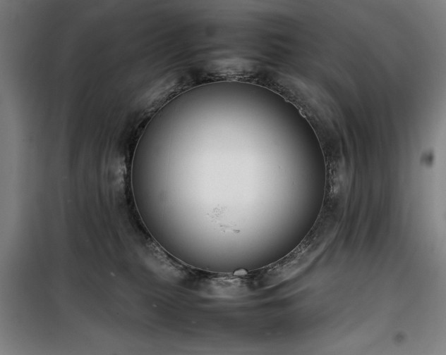 X0000100190279200805301254