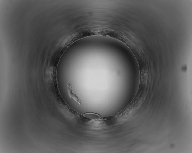 X0000100190280200805301254
