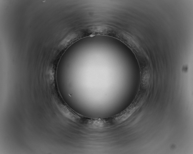 X0000100190282200805301254