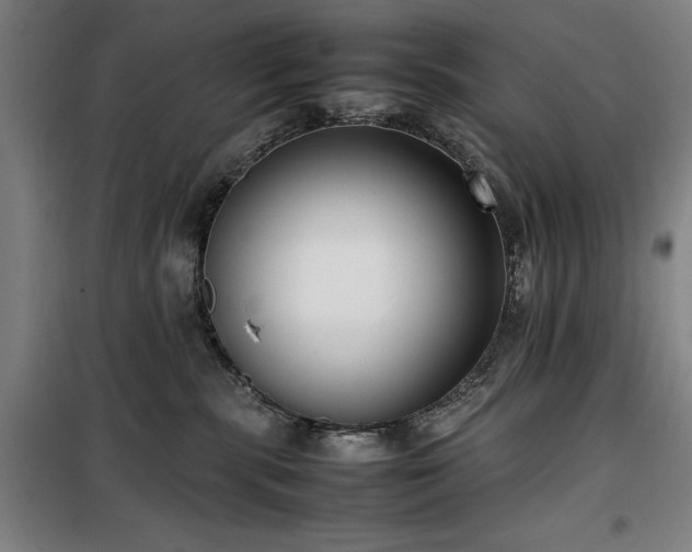 X0000100190283200805301254