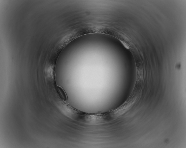 X0000100190286200805301254