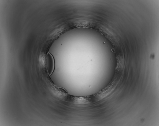 X0000100190287200805301254