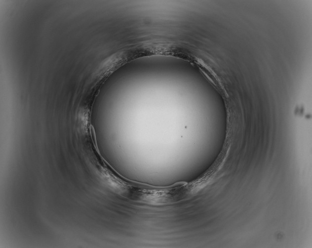 X0000100190288200805301254