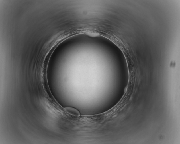 X0000100190290200805301254