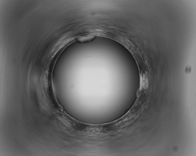 X0000100190291200805301254