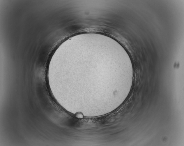 X0000100190297200805301253