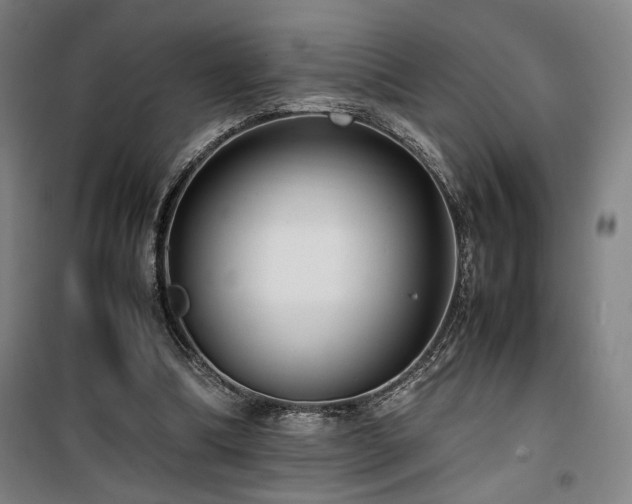 X0000100190298200805301253