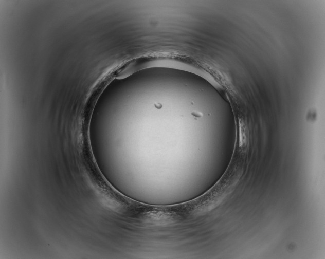 X0000100190300200805301253