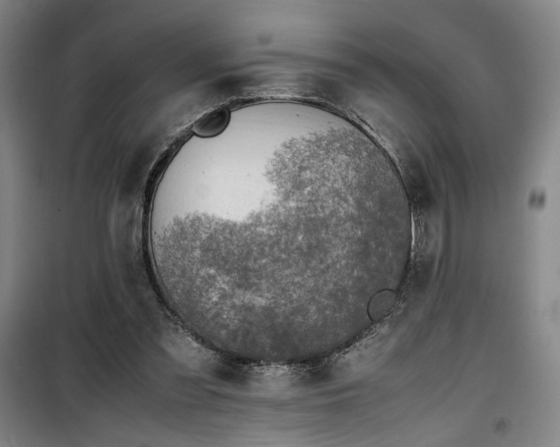 X0000100190301200805301253