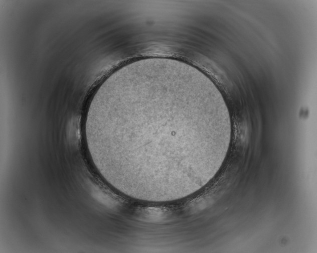 X0000100190302200805301253