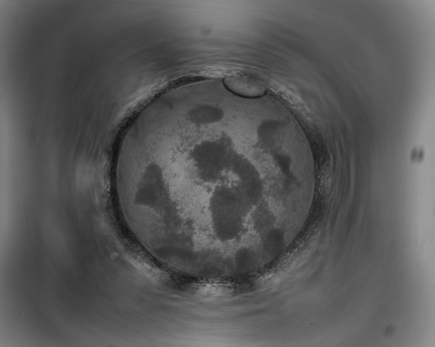 X0000100190303200805301253