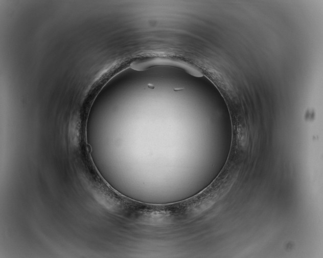 X0000100190304200805301253