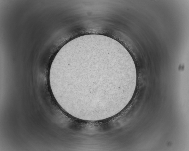 X0000100190305200805301253
