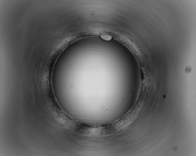 X0000100190306200805301253