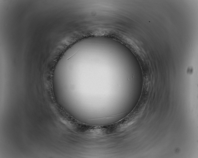 X0000100190307200805301253