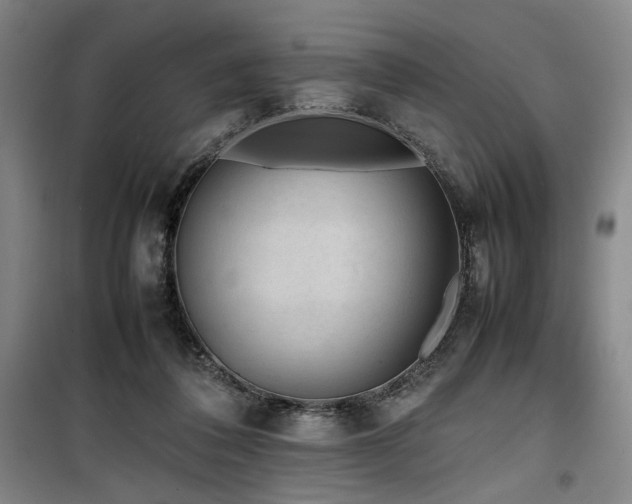 X0000100190308200805301253