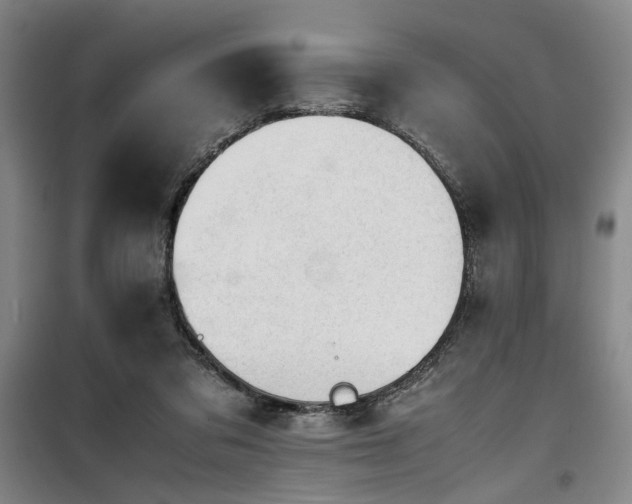 X0000100190309200805301253