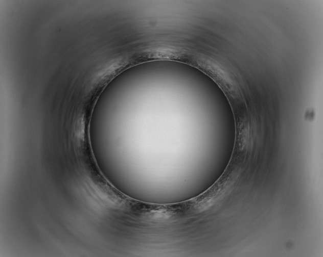 X0000100190310200805301253