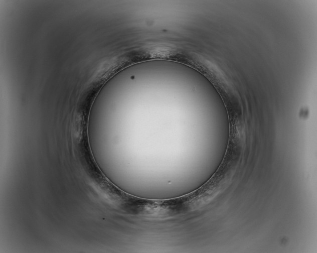X0000100190311200805301253
