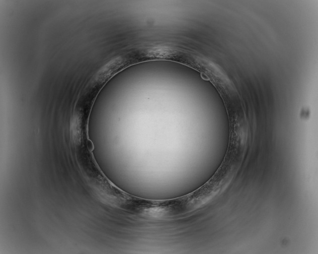 X0000100190312200805301253